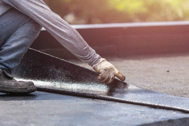 Professional Interior Drainage System technician working in Selma, IN